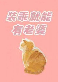 װ�Ծ���������