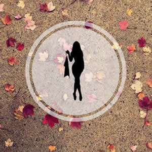 龙傲花都后宫录