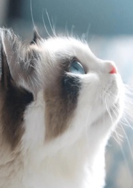 反欲之花(短文合集)