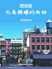 四合院:我是棒梗的大伯