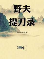 野夫提刀录