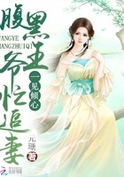 一见倾心:腹黑王爷忙追妻