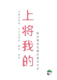 上将,我的