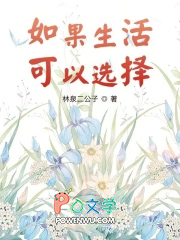 ����������ѡ��