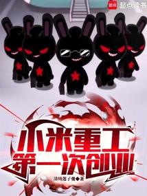 小米重工,第一次创业!