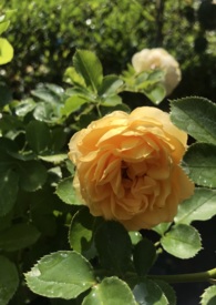 ���ɾ��롡�һ�ǵ���