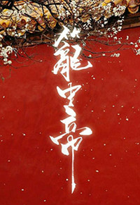 �����ᣨ���еۣ�