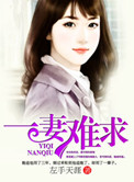 一妻难求(作者:左手天涯)