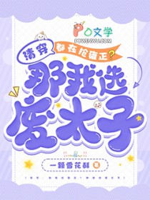 清穿:都在抢雍正?那我选废太子