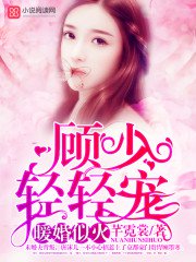 暖婚似火:顾少,轻轻宠