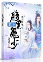 盛世凰妃:惹上腹黑魔少