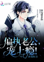 偏执老公,宠上瘾!