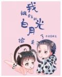 我被金主的白月光捡走了